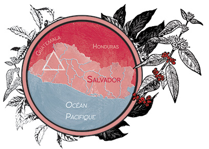 Carte Salvador GramGram Cafés