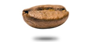 grain de café
