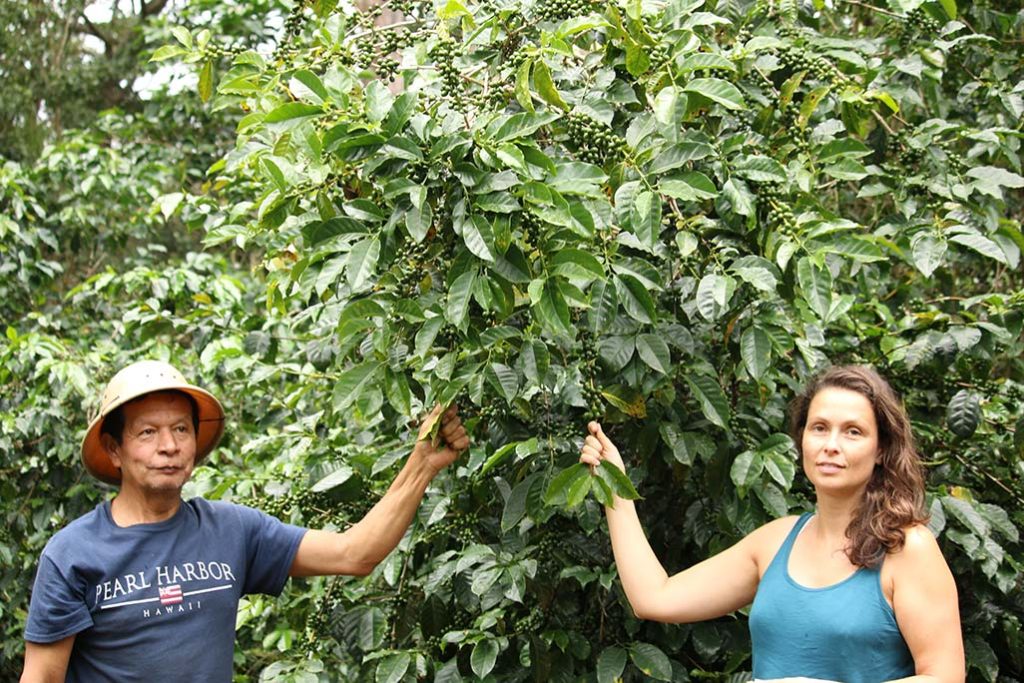 Café Panama GramGram